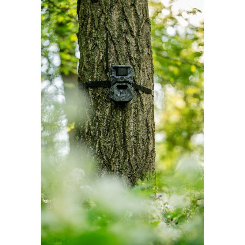 Hikmicro Wildkamera T16 (T16-18650)