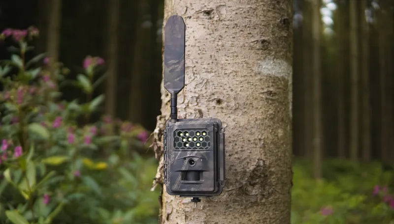 SEISSIGER Special-Cam LTE "Weißblitz" - SUPERSIM-Edition inkl. 18650 Akkus